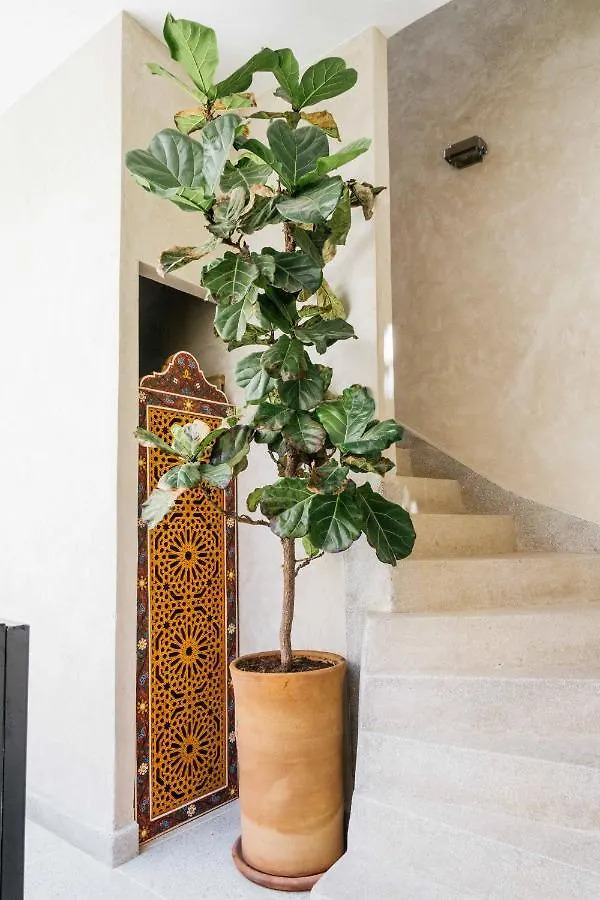 77 By Riad Club Marrakesh